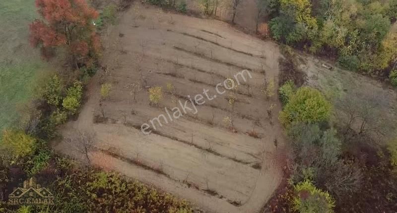 Src Emlaktan Bursa İnegöl Gündüzlüde Yatırımlık Ceviz Bahçesi - Görsel 2