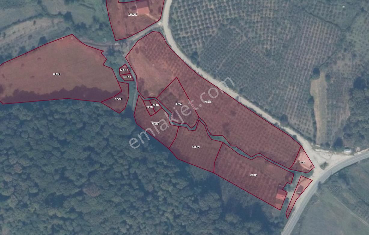 Fırsat_kefken Kurtyeri'nde _sahibinden_1502 M2_müstakil Tapu - Görsel 4