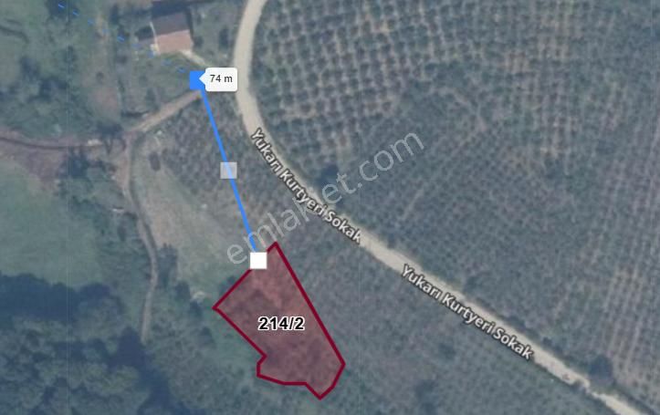 Fırsat_kefken Kurtyeri'nde _sahibinden_1502 M2_müstakil Tapu - Görsel 6