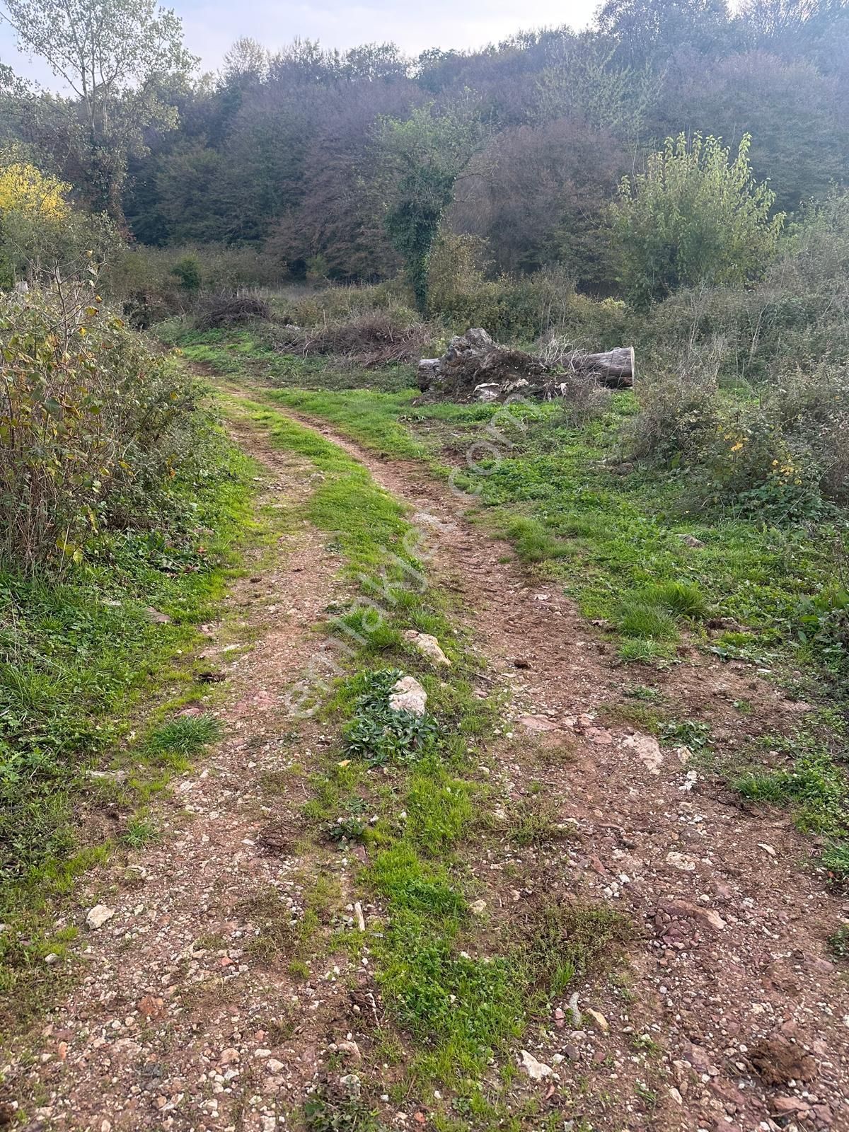 Fırsat_kefken Kurtyeri'nde _sahibinden_1502 M2_müstakil Tapu - Görsel 15