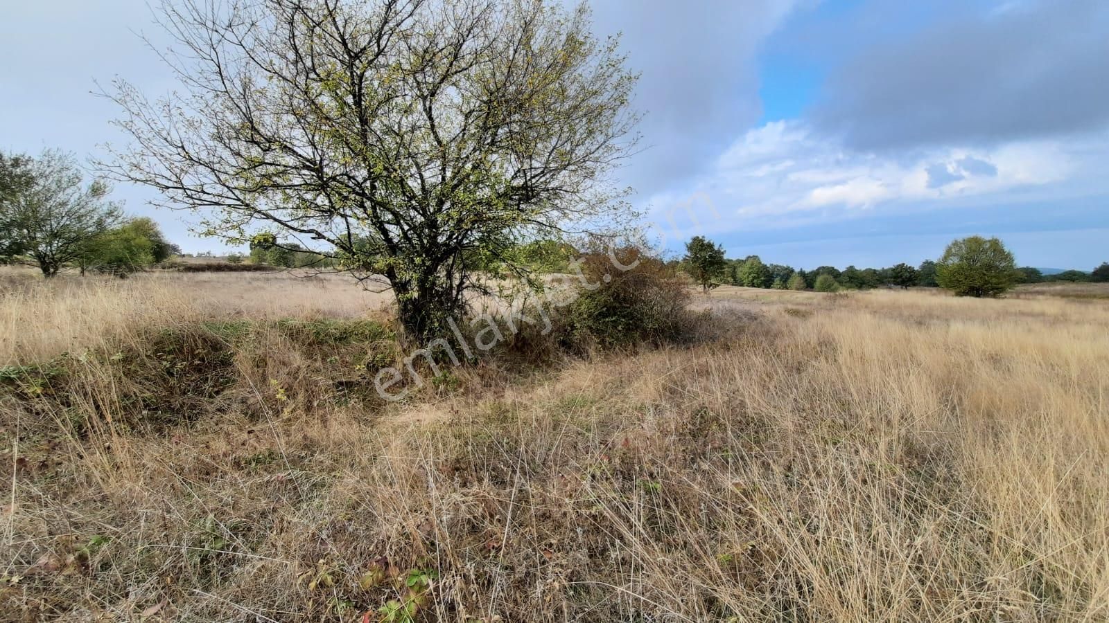 İznik Akın Emlak'tan Derbent Mahallesinde Harika Manzaralı 4.152 M2 Arazi - Görsel 12