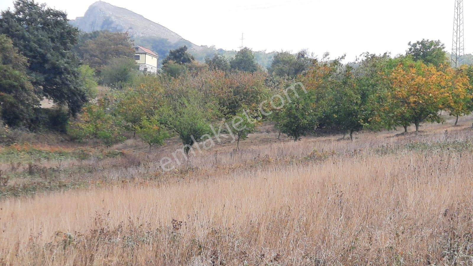 İznik Akın Emlak'tan Derbent Mahallesinde Harika Manzaralı 4.152 M2 Arazi - Görsel 4