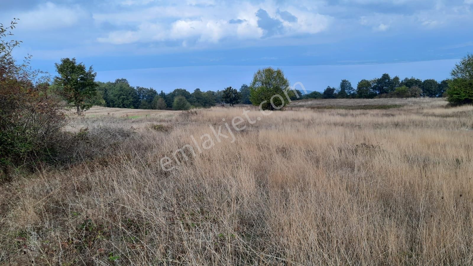 İznik Akın Emlak'tan Derbent Mahallesinde Harika Manzaralı 4.152 M2 Arazi - Görsel 6