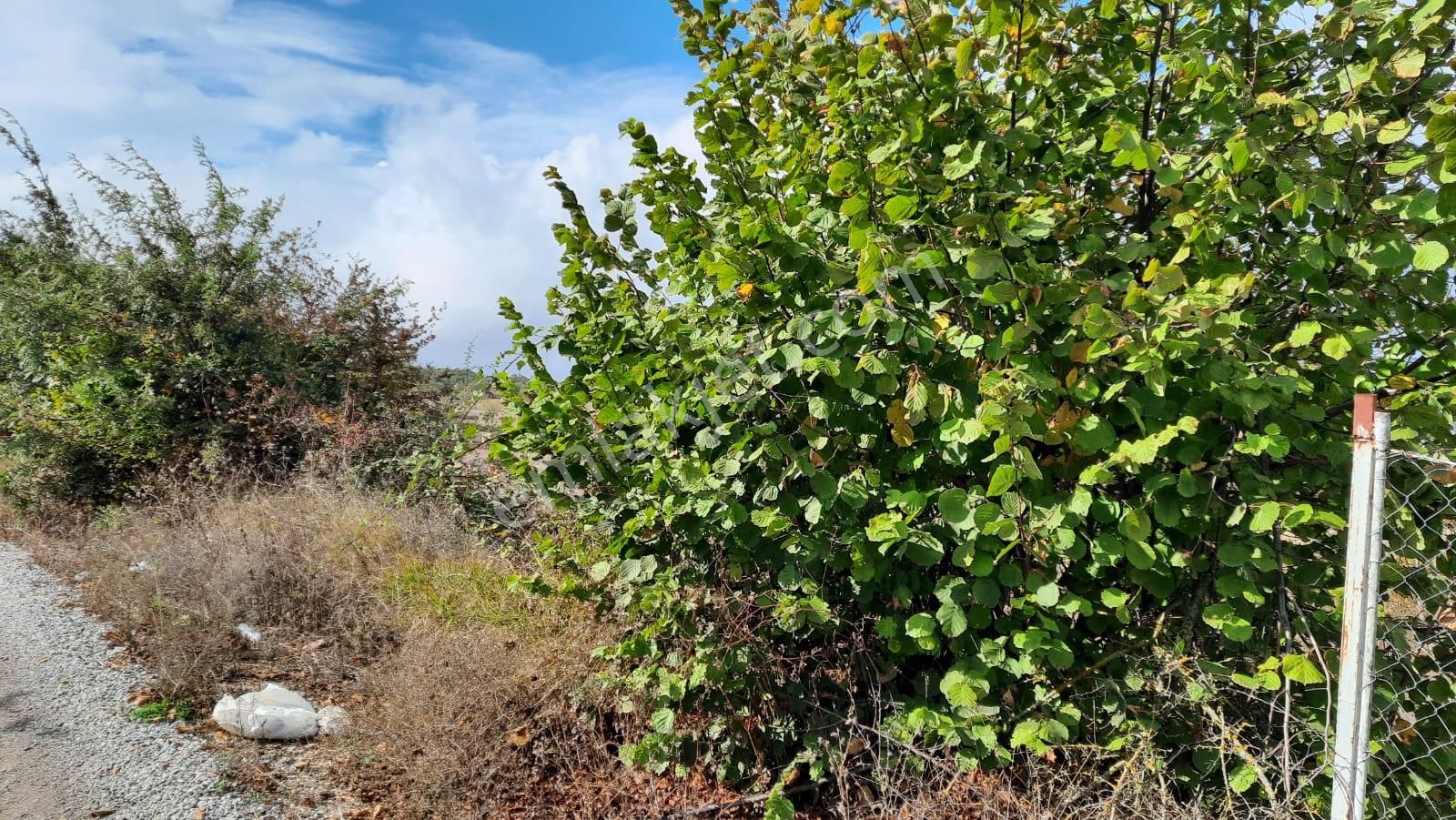 İznik Akın Emlak'tan Derbent Mahallesinde Harika Manzaralı 4.152 M2 Arazi - Görsel 22