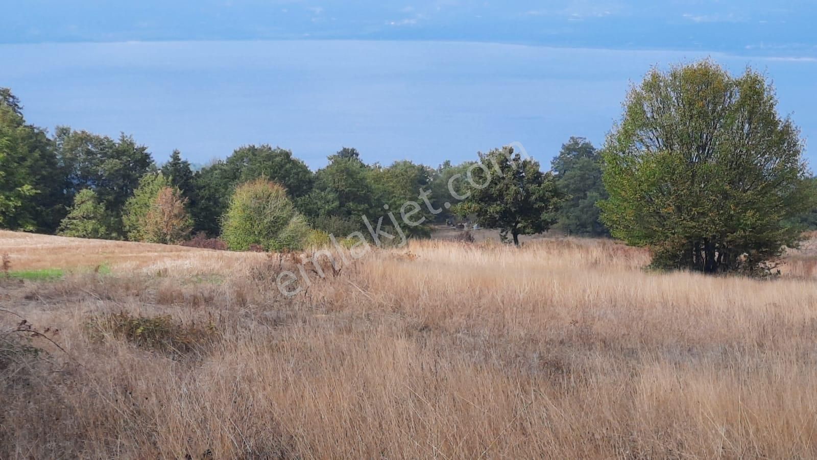 İznik Akın Emlak'tan Derbent Mahallesinde Harika Manzaralı 4.152 M2 Arazi - Görsel 15