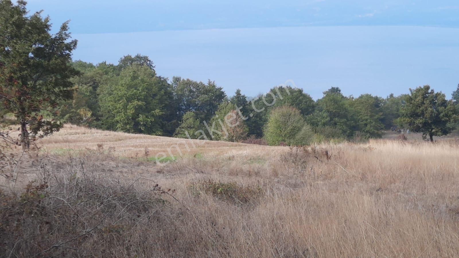 İznik Akın Emlak'tan Derbent Mahallesinde Harika Manzaralı 4.152 M2 Arazi - Görsel 11