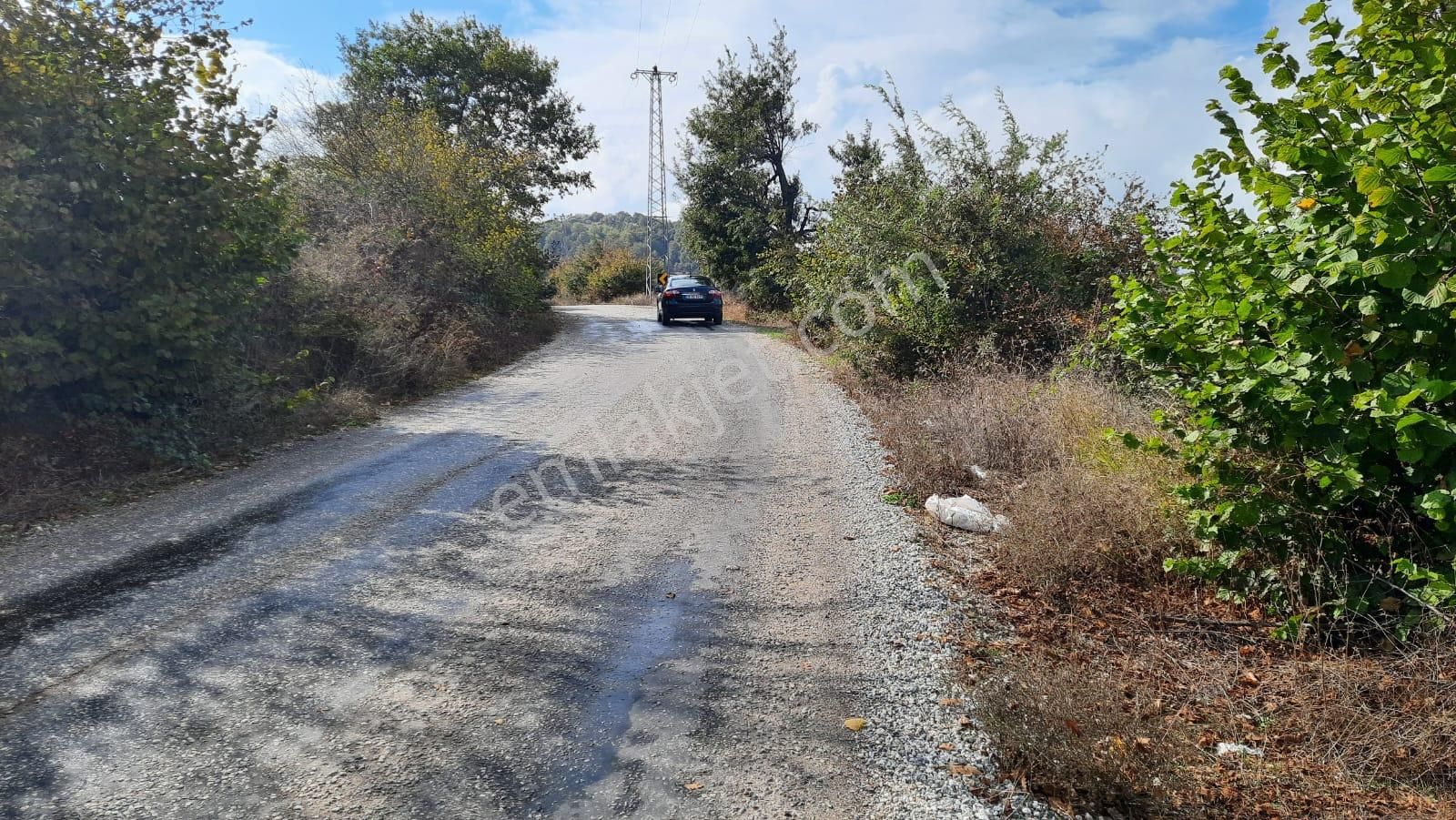 İznik Akın Emlak'tan Derbent Mahallesinde Harika Manzaralı 4.152 M2 Arazi - Görsel 26