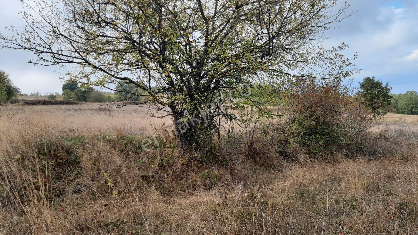 İznik Akın Emlak'tan Derbent Mahallesinde Harika Manzaralı 4.152 M2 Arazi - Görsel 19