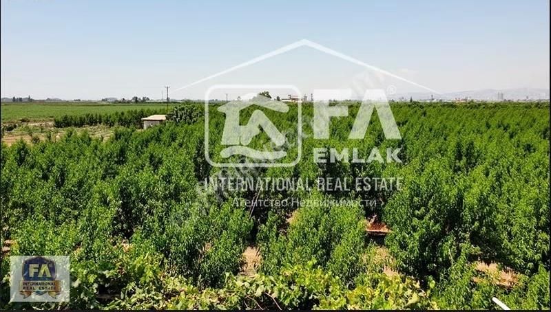 Fa Emlak 'dan Tarsus Heleke Mah. Satılık Şeftali Bahçesi - Görsel 3