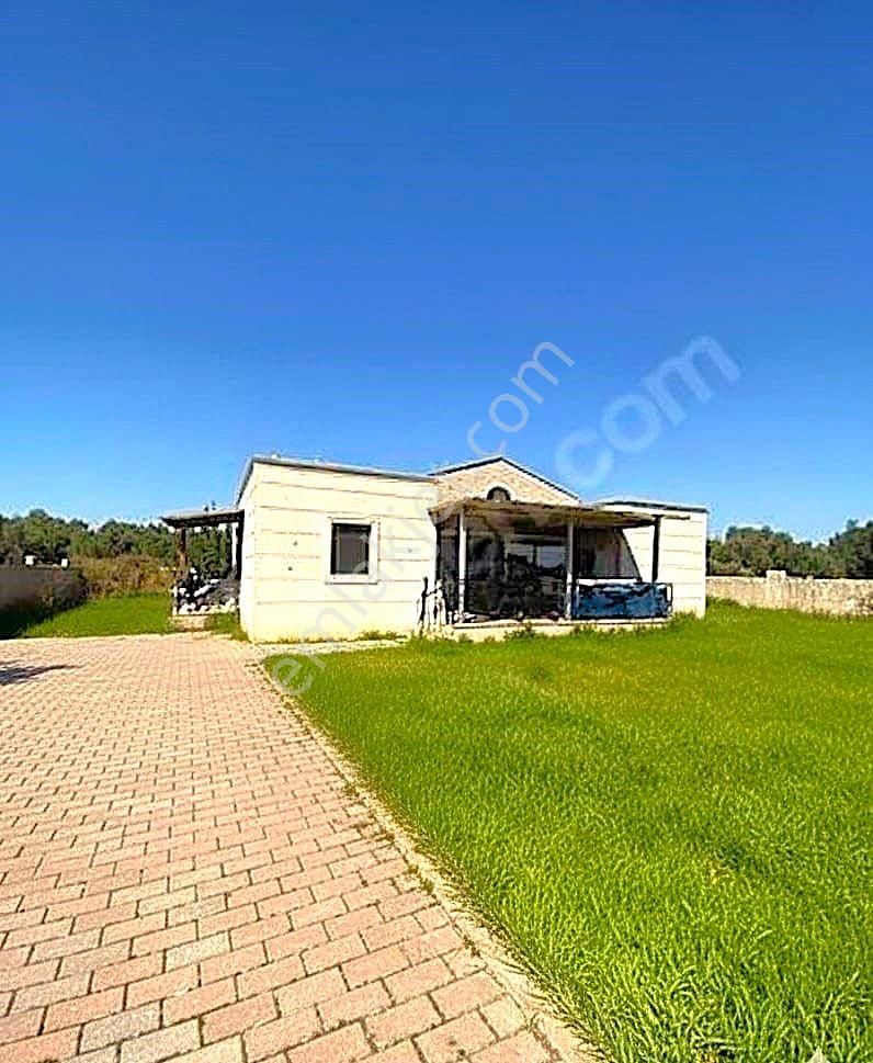 Bodrum Mumcularda Kaçırılmayacak Fırsattaki Satılık Tarla
