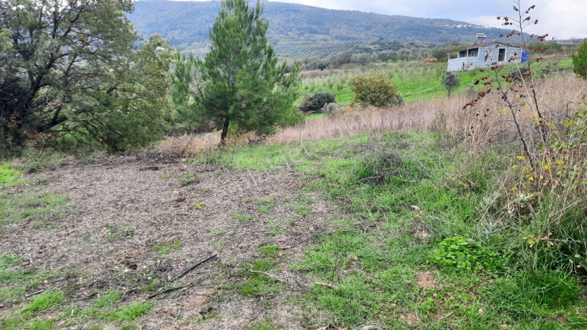 İznik Akın Emlaktan Şerefiye'de 6.515m2 Göl Manzaralı Tarla - Görsel 25