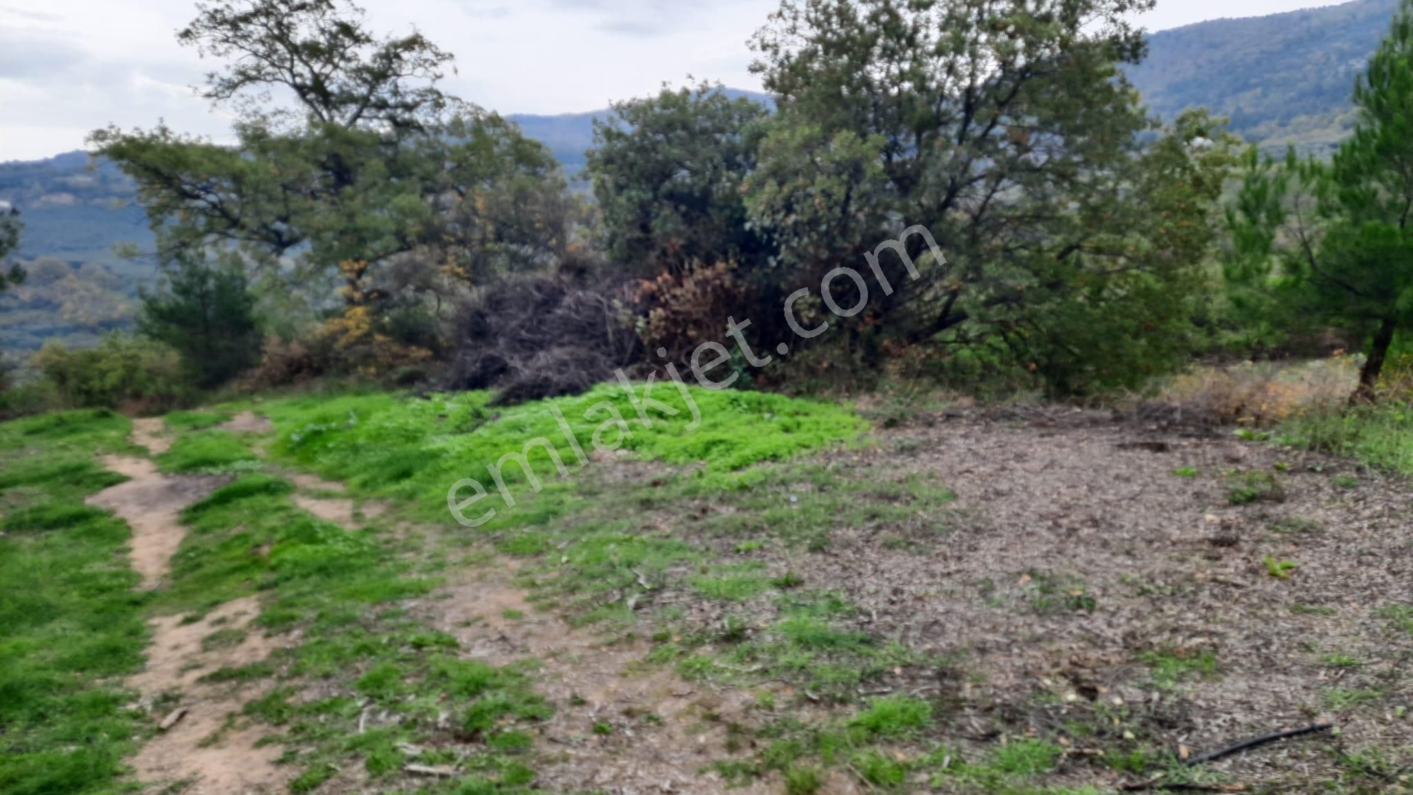 İznik Akın Emlaktan Şerefiye'de 6.515m2 Göl Manzaralı Tarla - Görsel 24