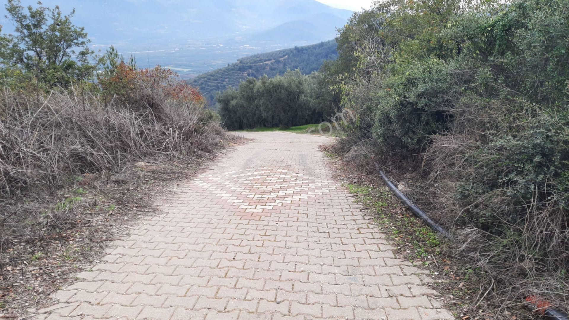 İznik Akın Emlaktan Şerefiye'de 6.515m2 Göl Manzaralı Tarla - Görsel 31