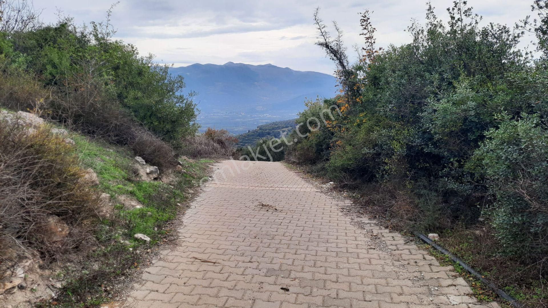 İznik Akın Emlaktan Şerefiye'de 6.515m2 Göl Manzaralı Tarla - Görsel 30