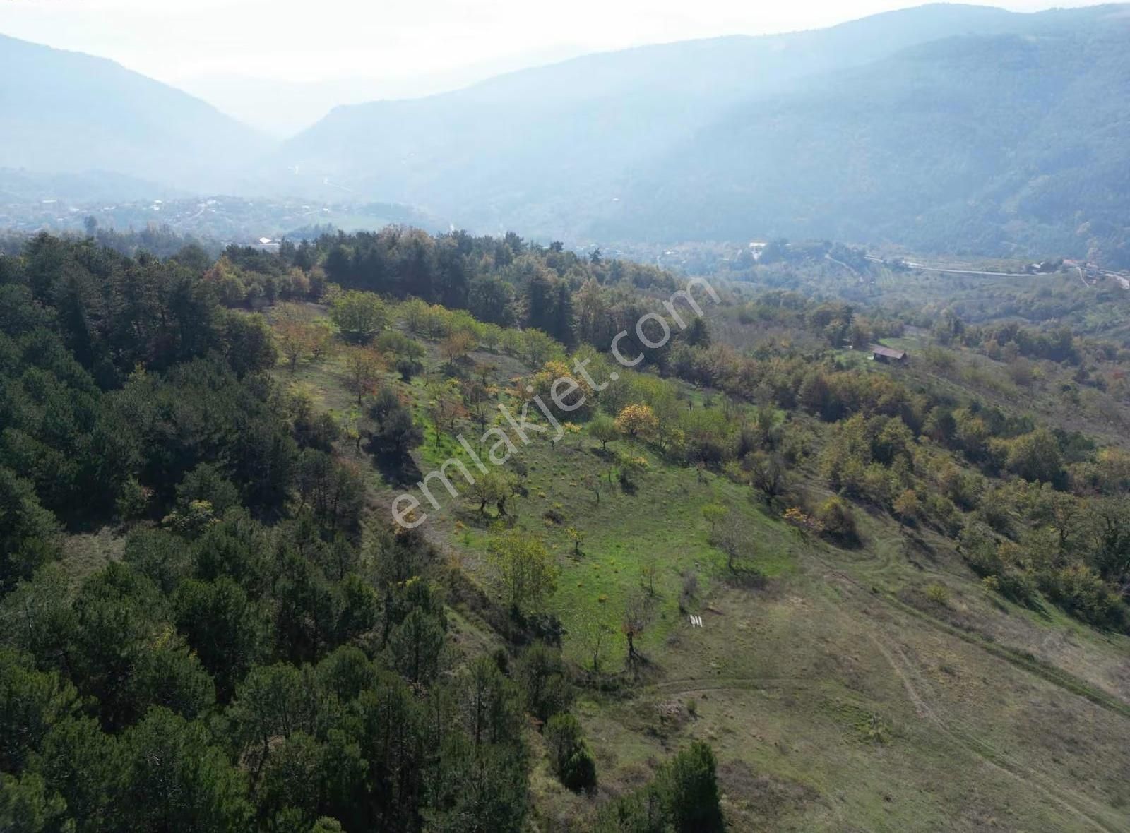 İmar Sınırı Meyve Bahçemiz Satılık - Görsel 7