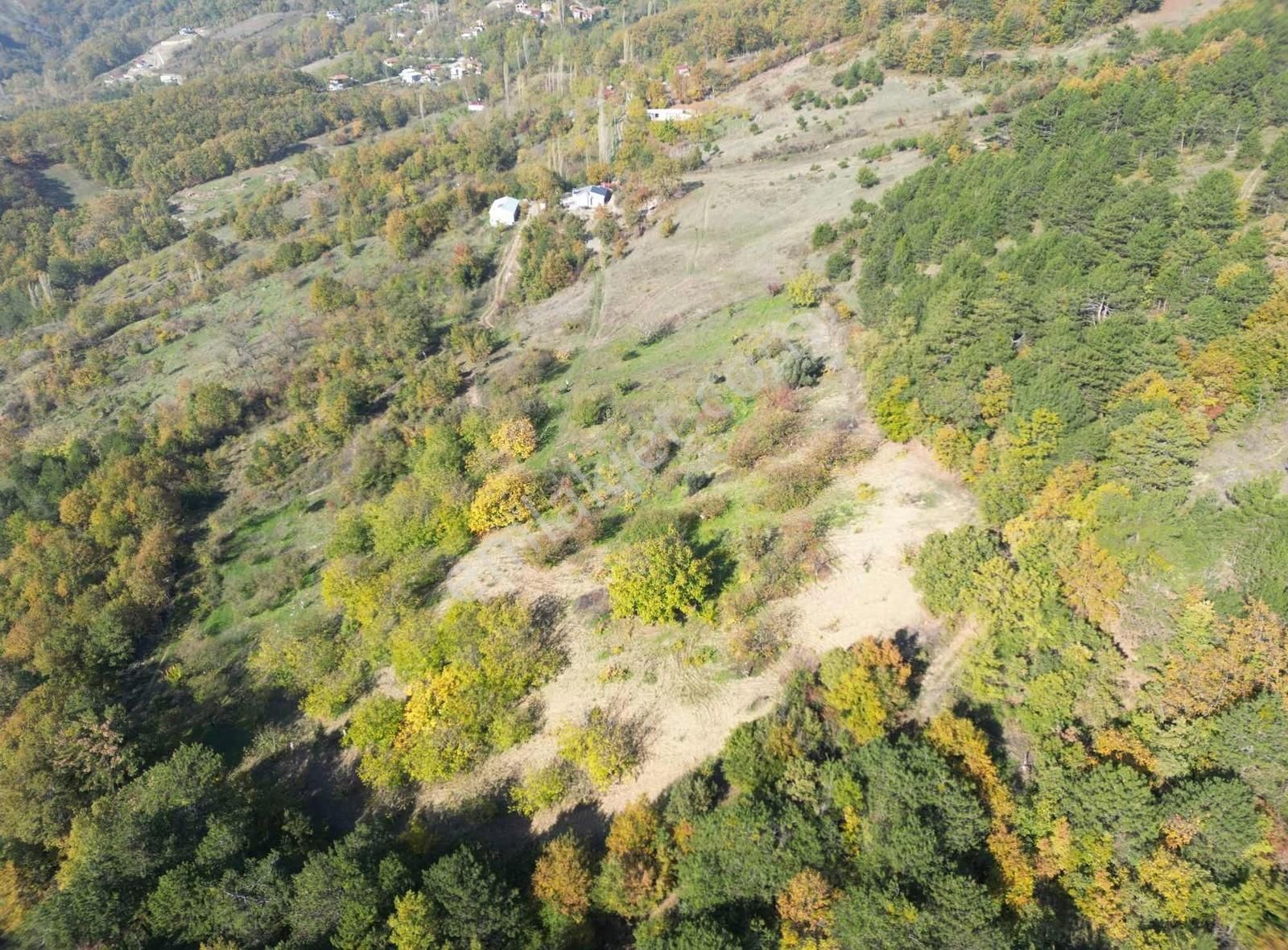 İmar Sınırı Meyve Bahçemiz Satılık - Görsel 31