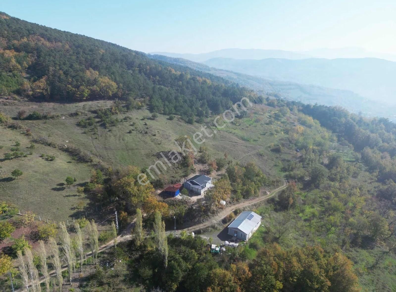 İmar Sınırı Meyve Bahçemiz Satılık - Görsel 17