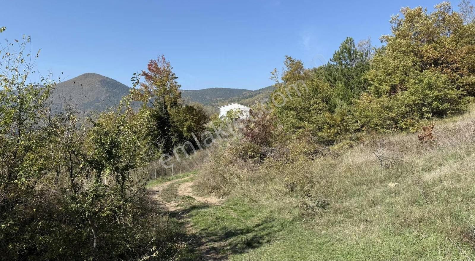 İmar Sınırı Meyve Bahçemiz Satılık