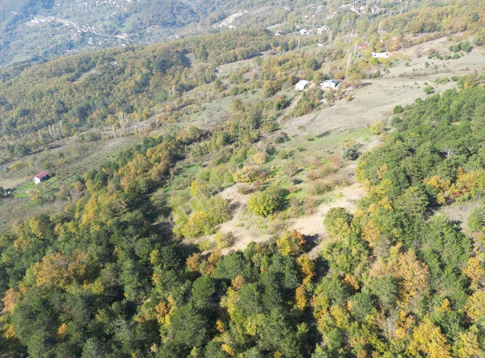 İmar Sınırı Meyve Bahçemiz Satılık - Görsel 18