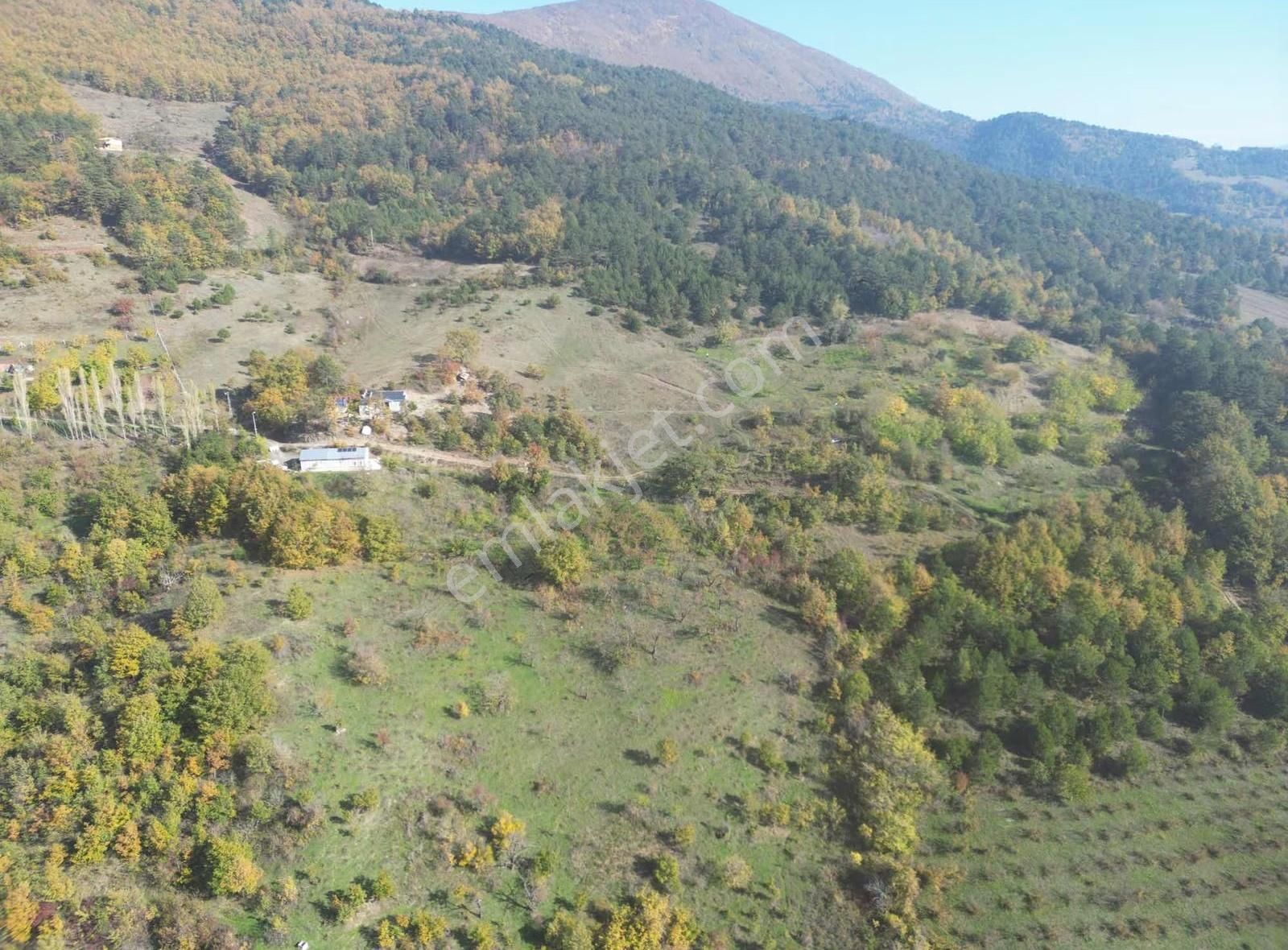 İmar Sınırı Meyve Bahçemiz Satılık - Görsel 19