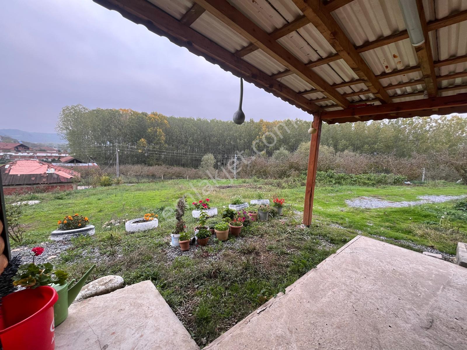 Akçakoca Nazımbey Köyünde 1526 M2 Arsa İçerisinde 2+1 Ahşap Ev - Görsel 7
