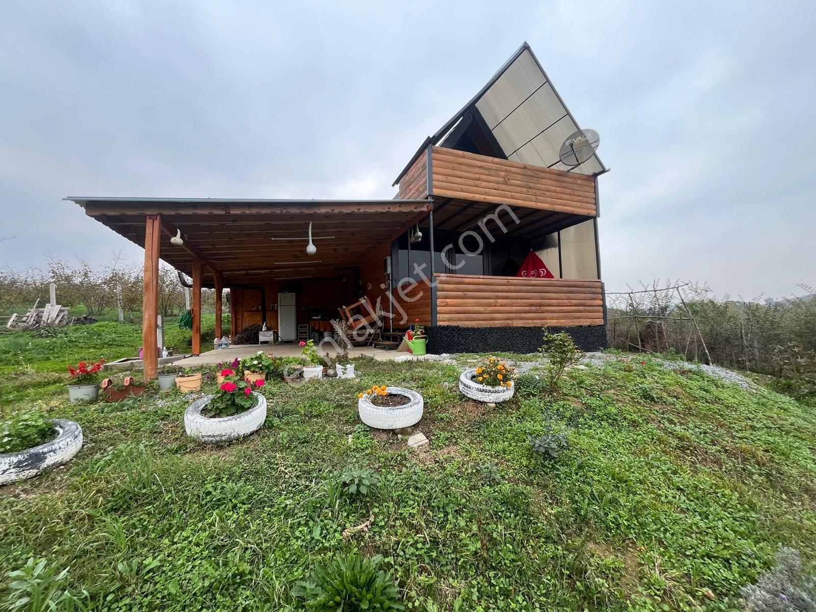 Akçakoca Nazımbey Köyünde 1526 M2 Arsa İçerisinde 2+1 Ahşap Ev