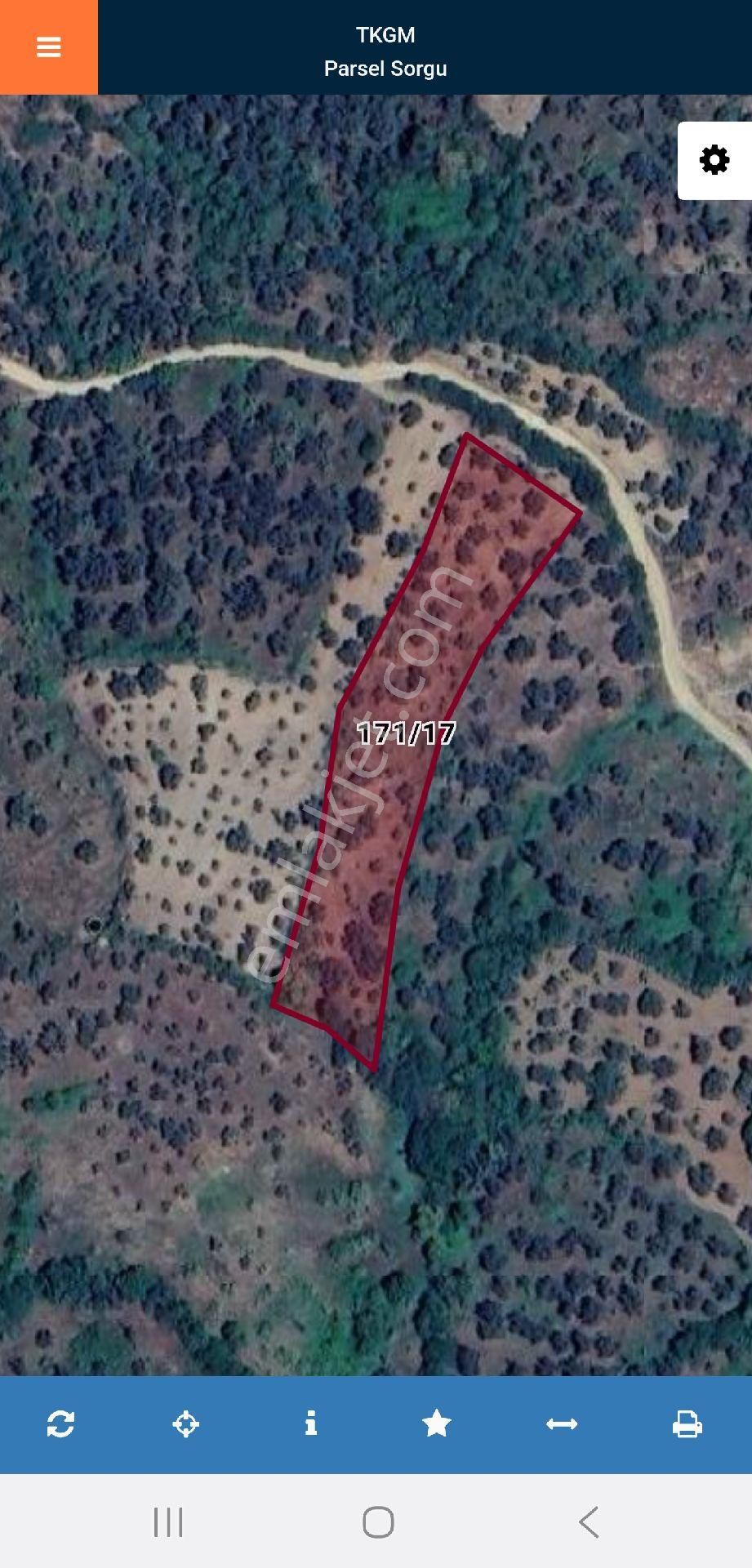 İzmir Beydağ Adakürede 3.528 M2 Köyde Zeytin İncir Kestane Muşmula Bahçesi. Açıklamayı Okuyunuz - Görsel 2