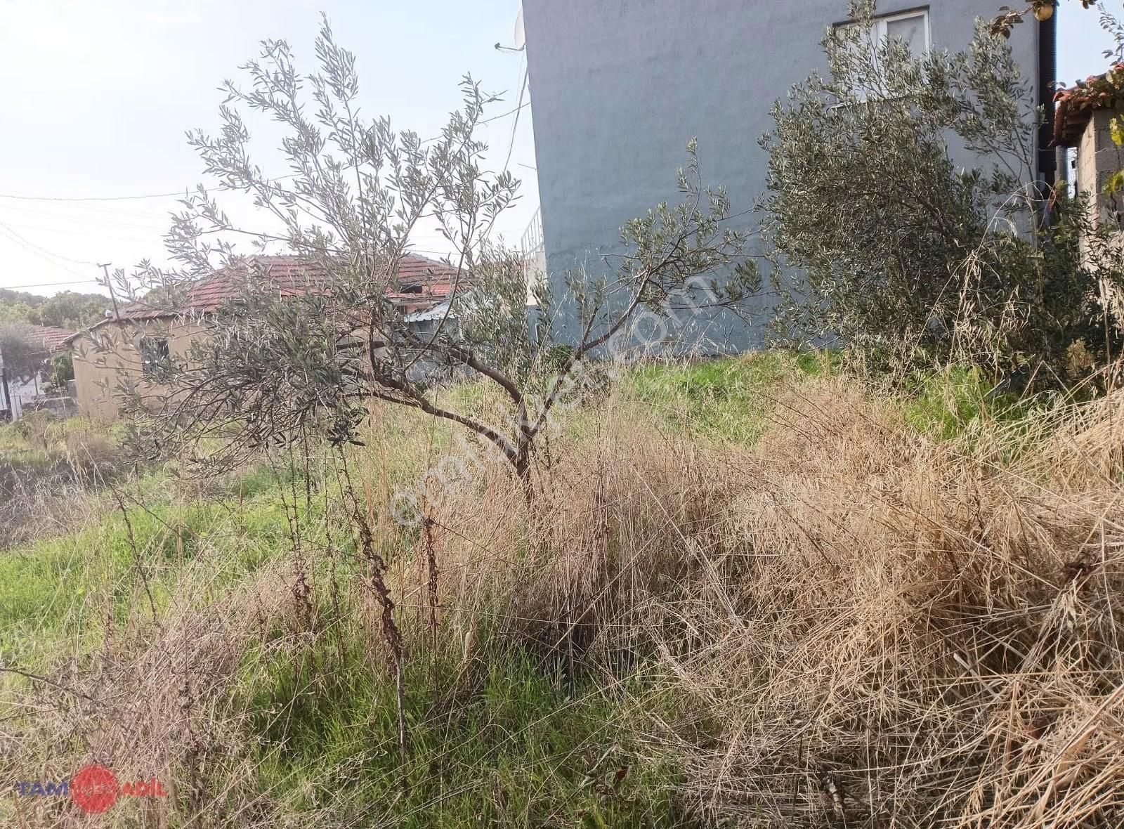 Dikili İslamlar'da Satılık 395m2 Arsa!!! - Görsel 15