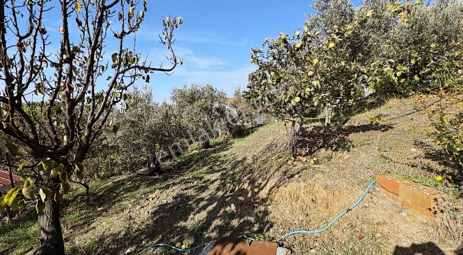 Seferihisar Tepecikte Deniz Manzaralı 120 M² Müstakil Ev - Görsel 2