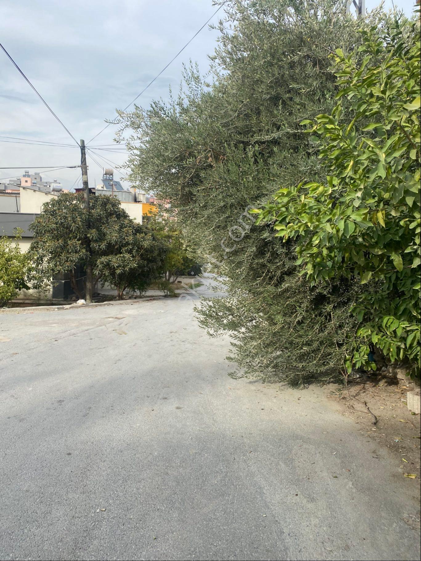 Kırıksırtında Bulunan Arsamız Satılıktır - Görsel 14