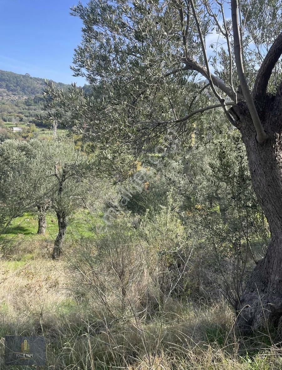 Kale Gayrimenkulden Satılık 1 Dönüm Arazi - Görsel 2