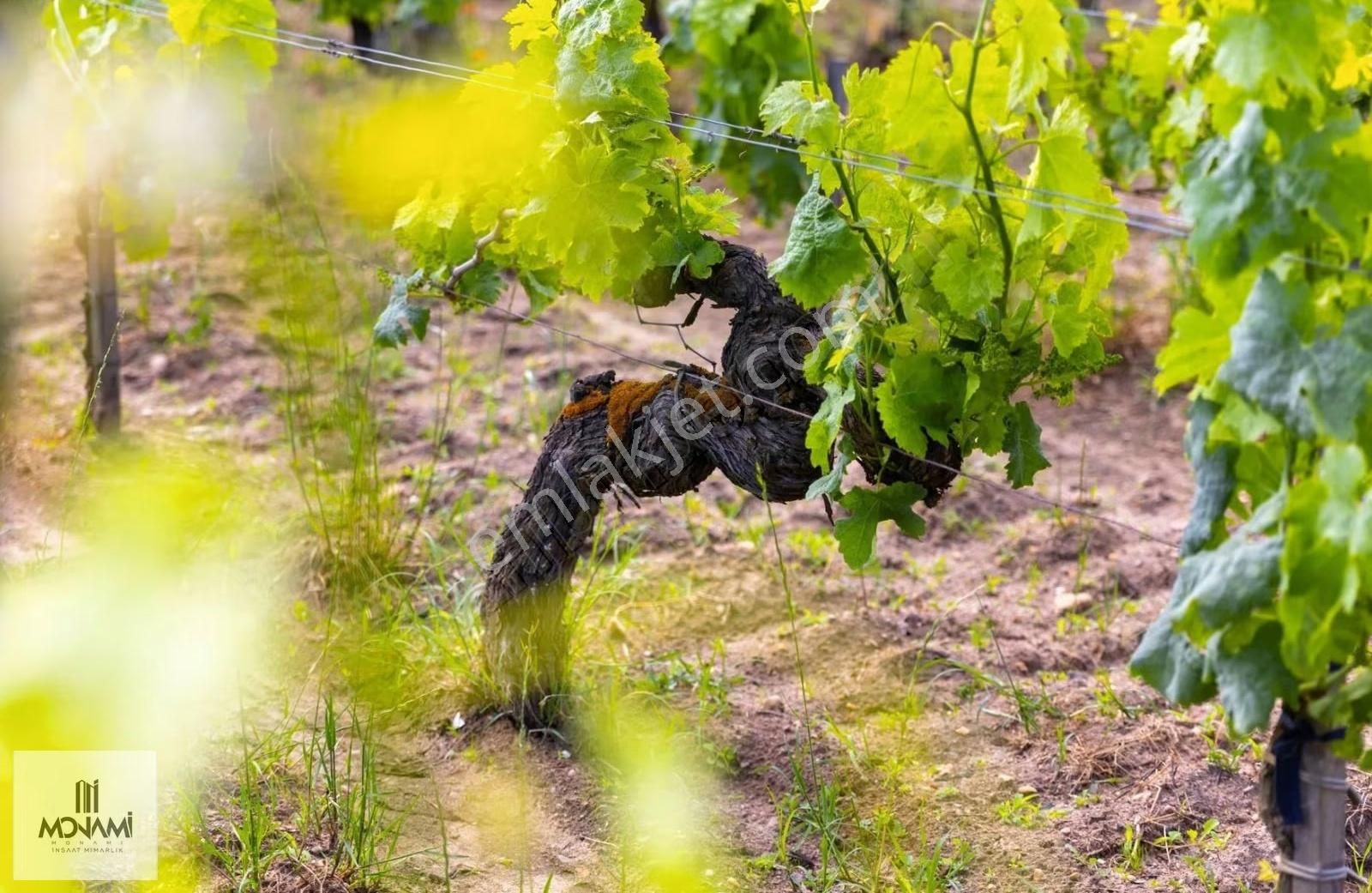 Site İçi Güvenlik Havuz Sıfır Lüx Villa 4+1 258m2 Teras Sahilde. - Görsel 10