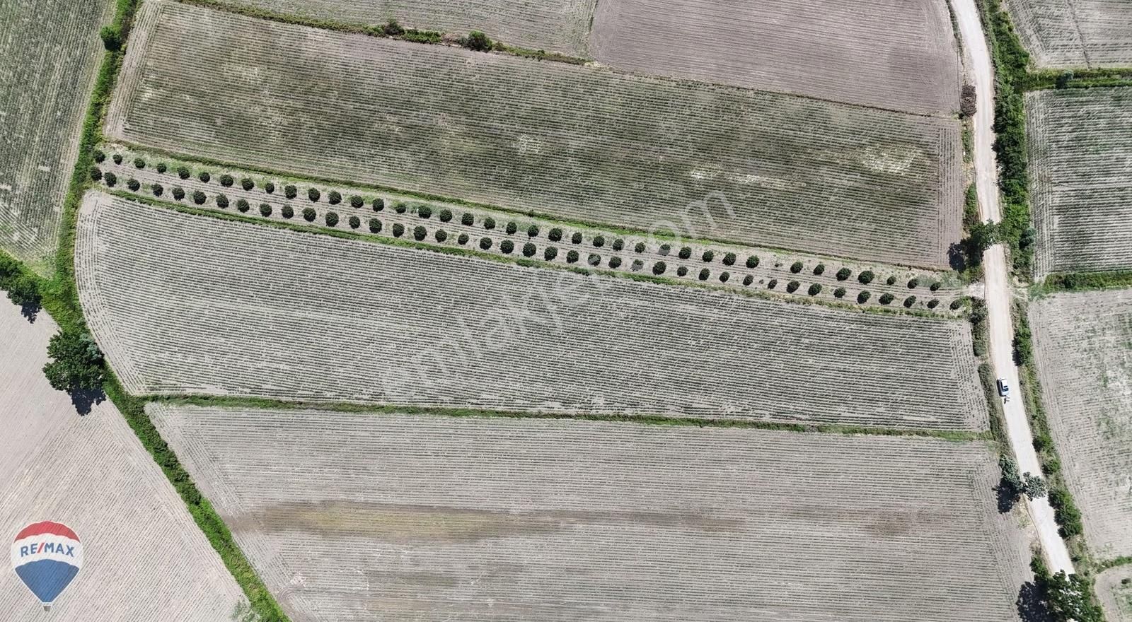 Karasu Limandere De Satılık Tarla Remax Mavi Tuncay Şen Den - Görsel 19