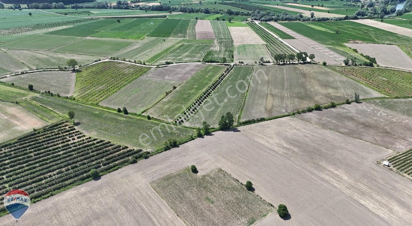 Karasu Limandere De Satılık Tarla Remax Mavi Tuncay Şen Den - Görsel 20