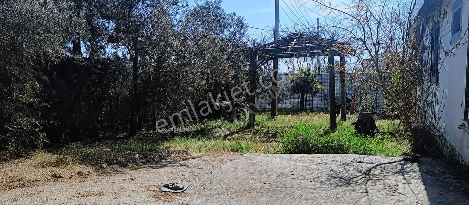 My House'tan Acil Satılık Müstakil Tapulu 515 M2 Müstakil Ev. - Görsel 13