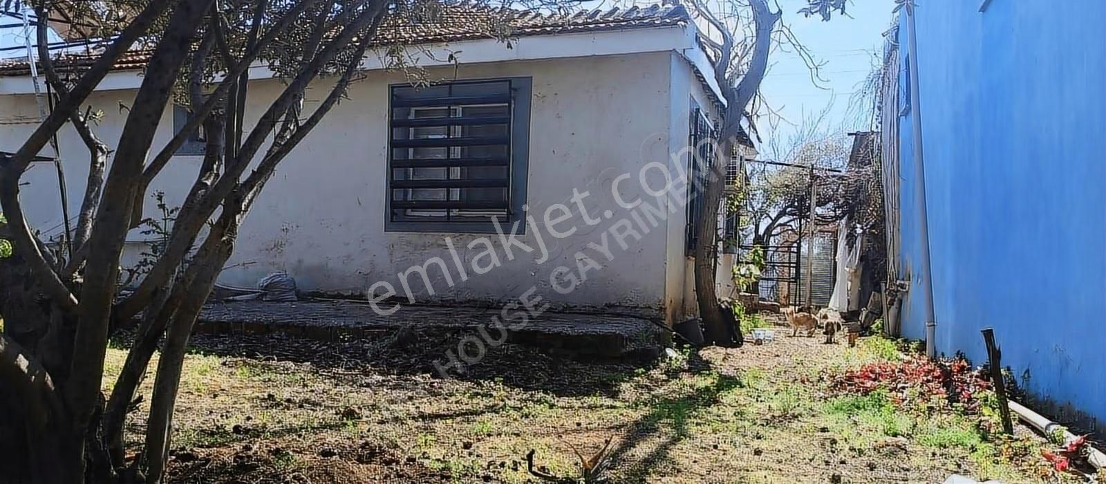 My House'tan Acil Satılık Müstakil Tapulu 515 M2 Müstakil Ev. - Görsel 14