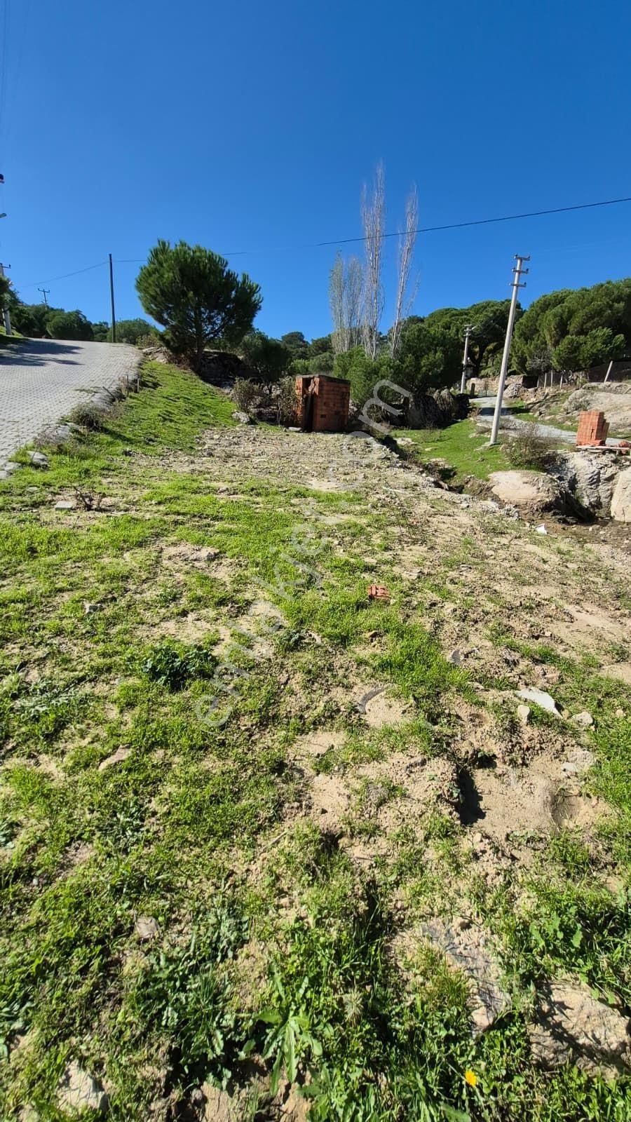 Satılık Köy Evi,elektrik Ve Su Aboneliği Bulunur - Görsel 5