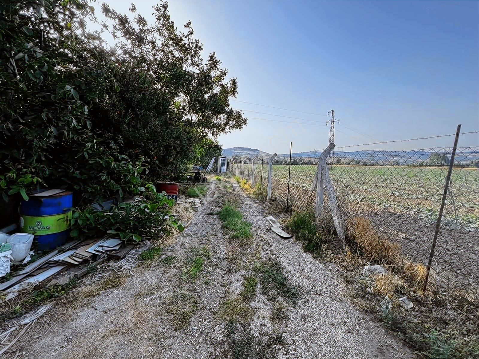 Şehir Dibinde Hazır Yetişkin Bahçe - Görsel 13