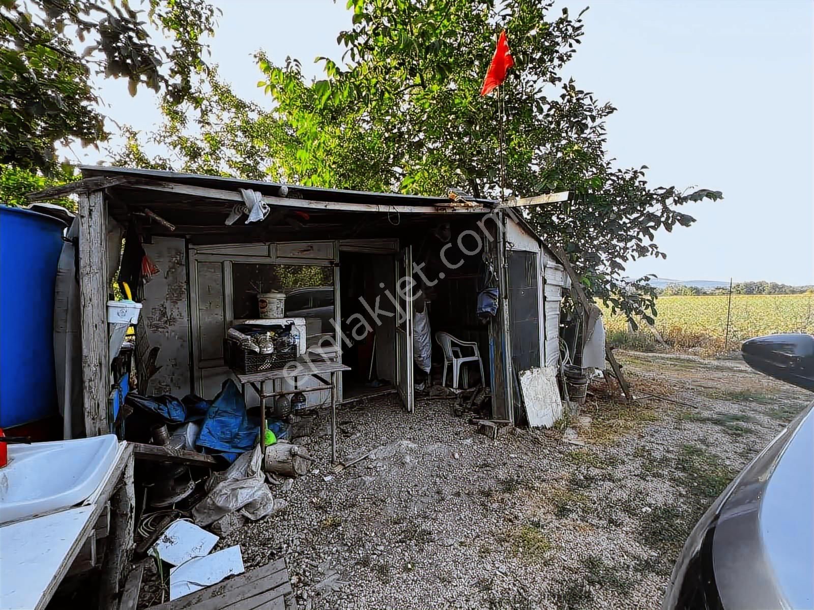 Şehir Dibinde Hazır Yetişkin Bahçe - Görsel 18