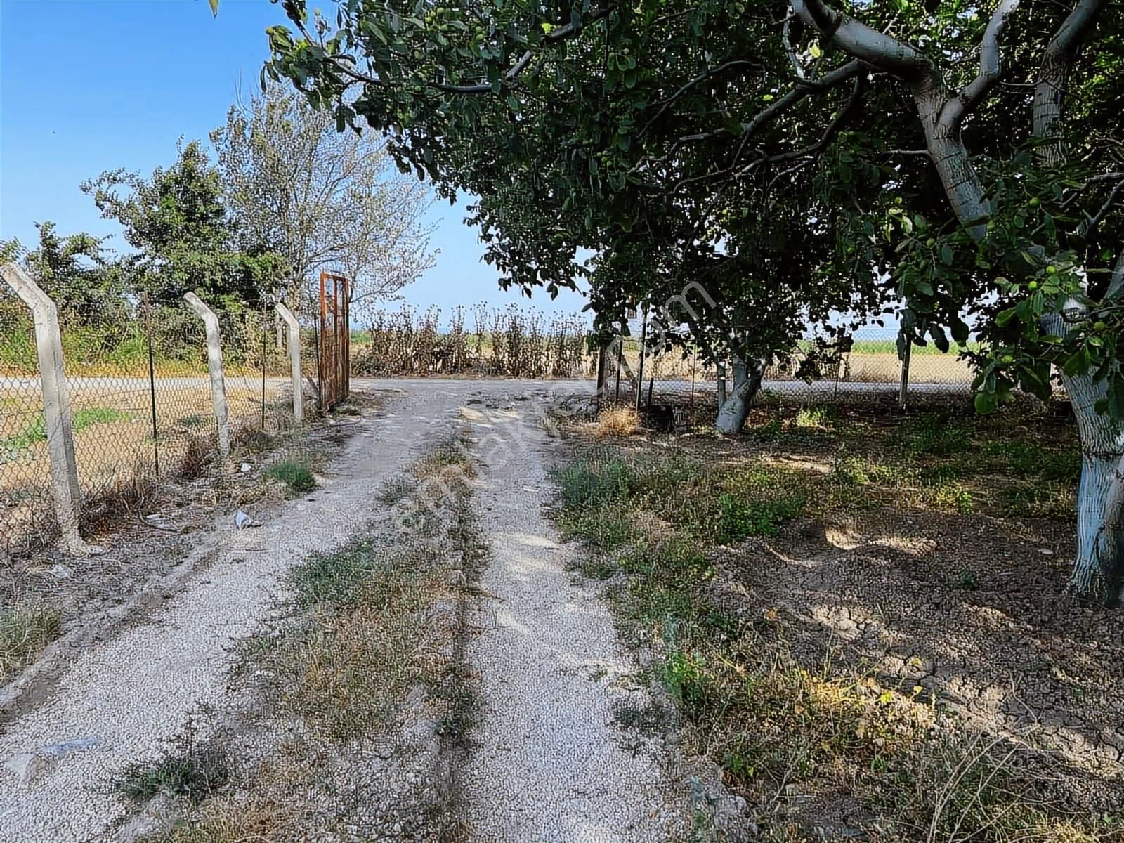 Şehir Dibinde Hazır Yetişkin Bahçe - Görsel 10