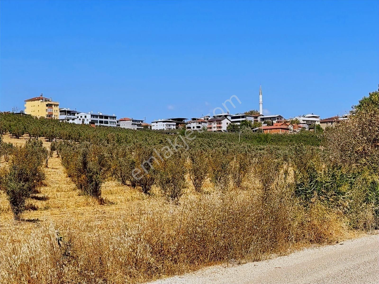 Mudanya Ülkü Köyde Satılık Yatırımlık Arazi - Görsel 23