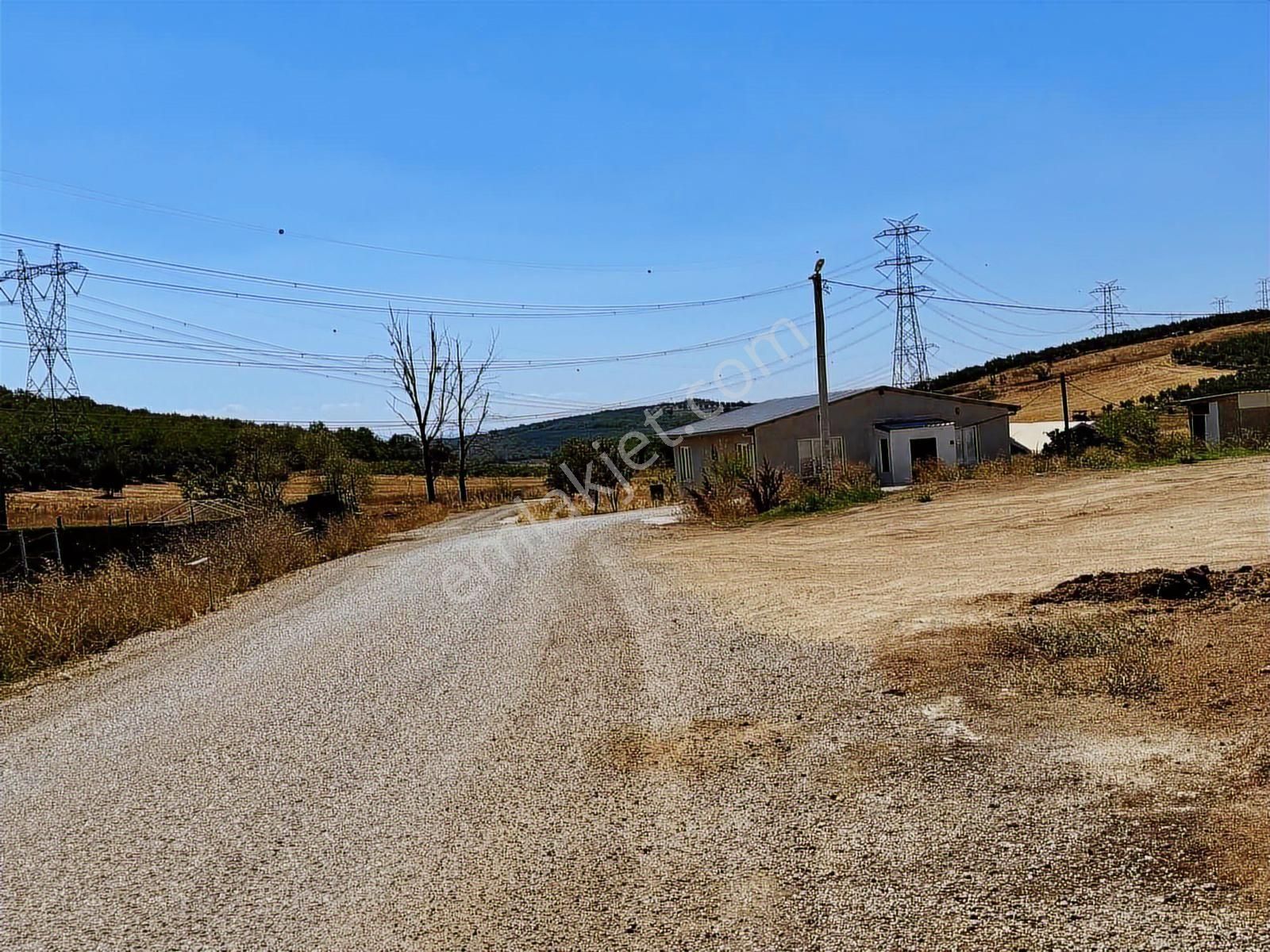 Mudanya Ülkü Köyde Satılık Yatırımlık Arazi - Görsel 32