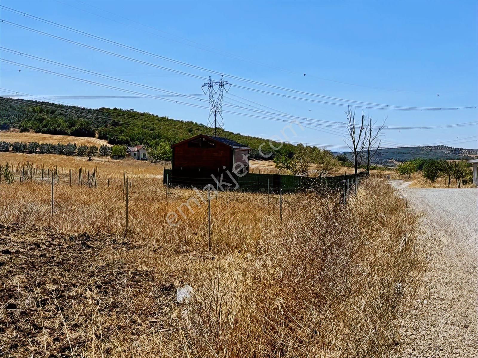 Mudanya Ülkü Köyde Satılık Yatırımlık Arazi - Görsel 30