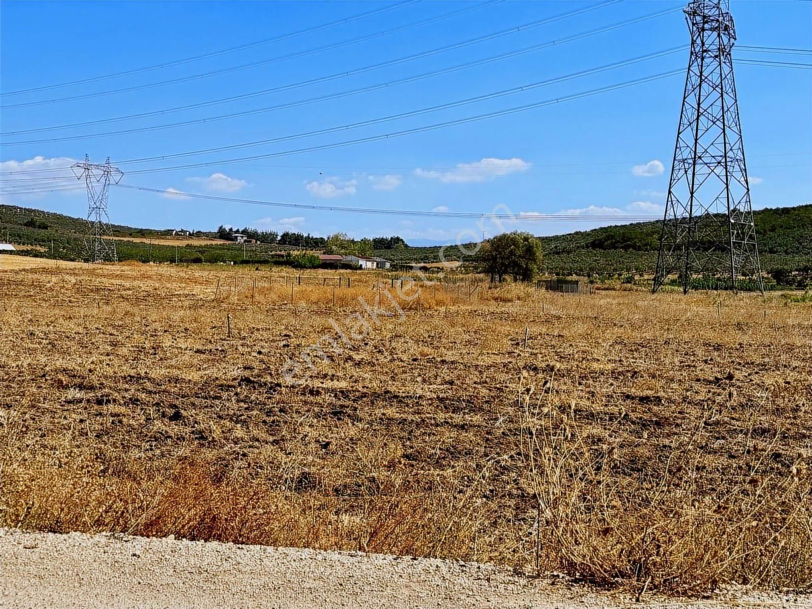 Mudanya Ülkü Köyde Satılık Yatırımlık Arazi - Görsel 24