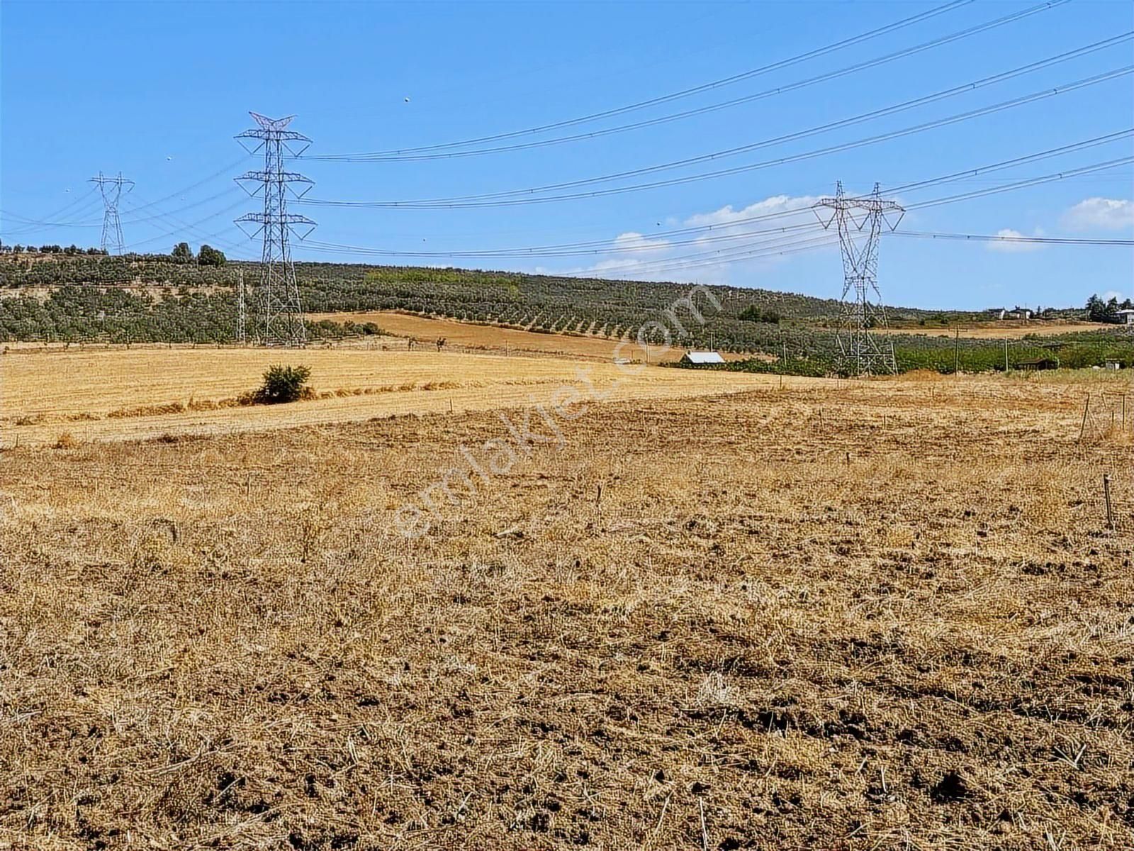 Mudanya Ülkü Köyde Satılık Yatırımlık Arazi - Görsel 12
