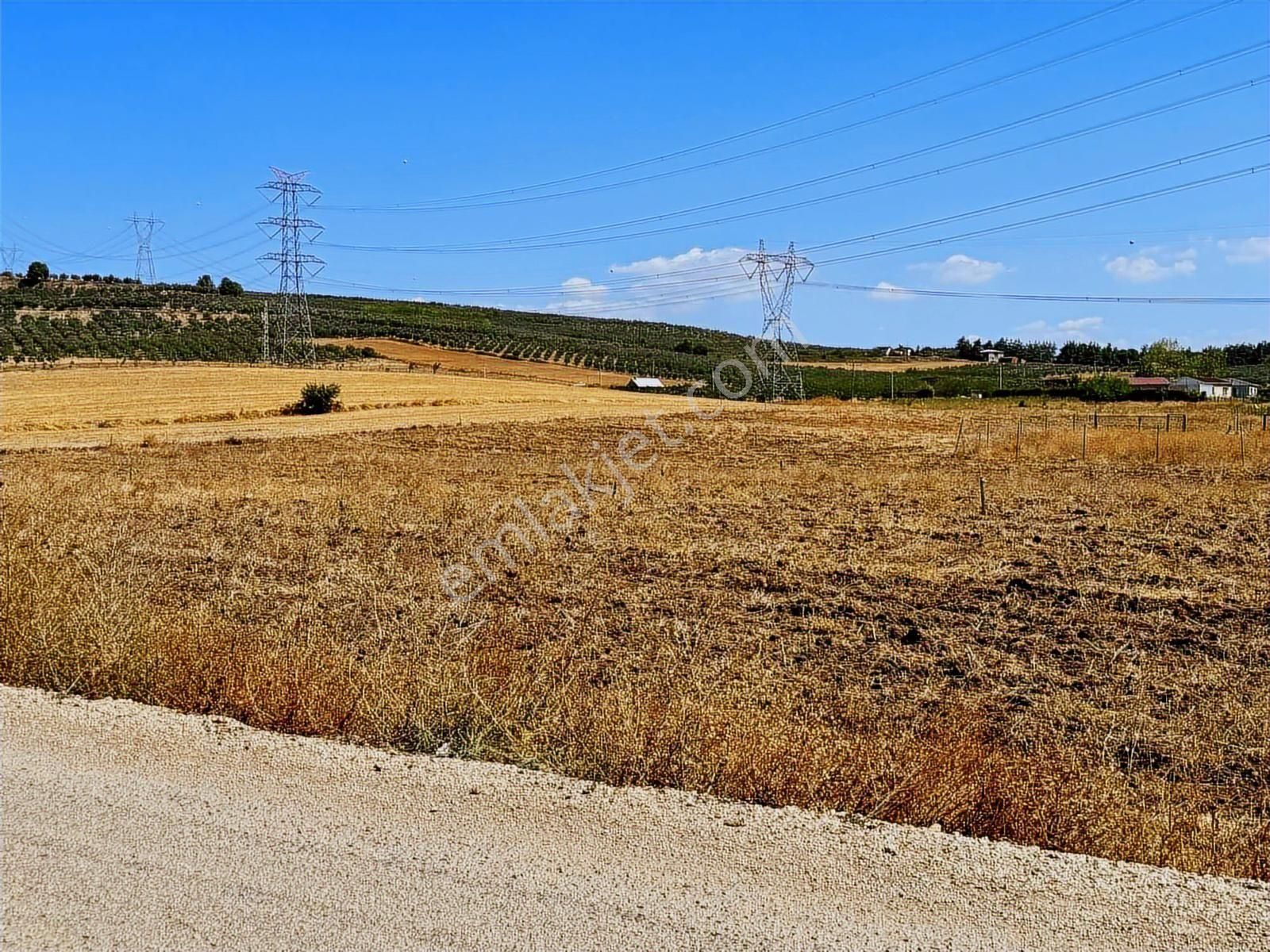 Mudanya Ülkü Köyde Satılık Yatırımlık Arazi - Görsel 22