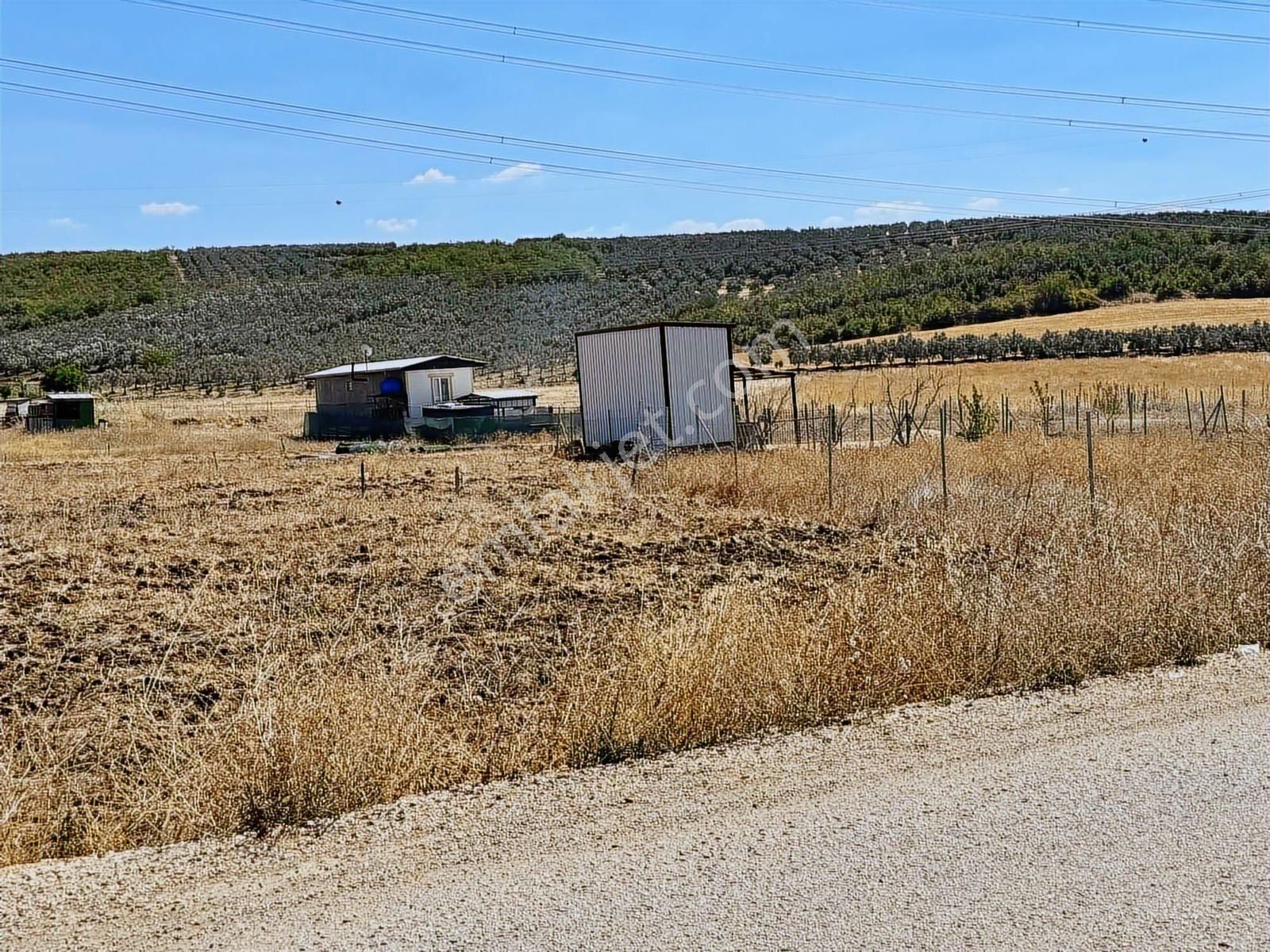 Mudanya Ülkü Köyde Satılık Yatırımlık Arazi - Görsel 19