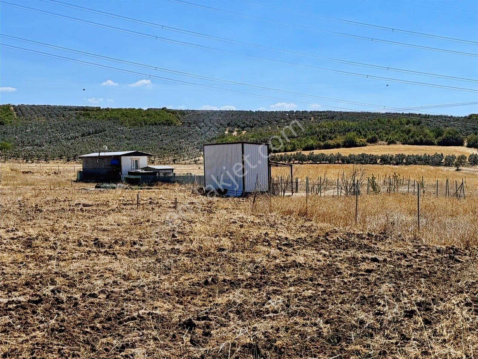 Mudanya Ülkü Köyde Satılık Yatırımlık Arazi - Görsel 33