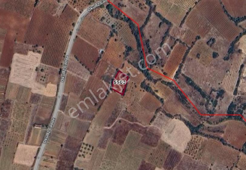 Denizli Çal Ortaköy Köyünde 1.399 M² Bağ Satılıktır - Görsel 5