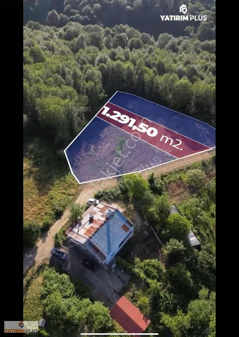 Yatırımplus'tan Atakum'da Ormana Komşu Ev Yapılabilir Tarla - Görsel 7